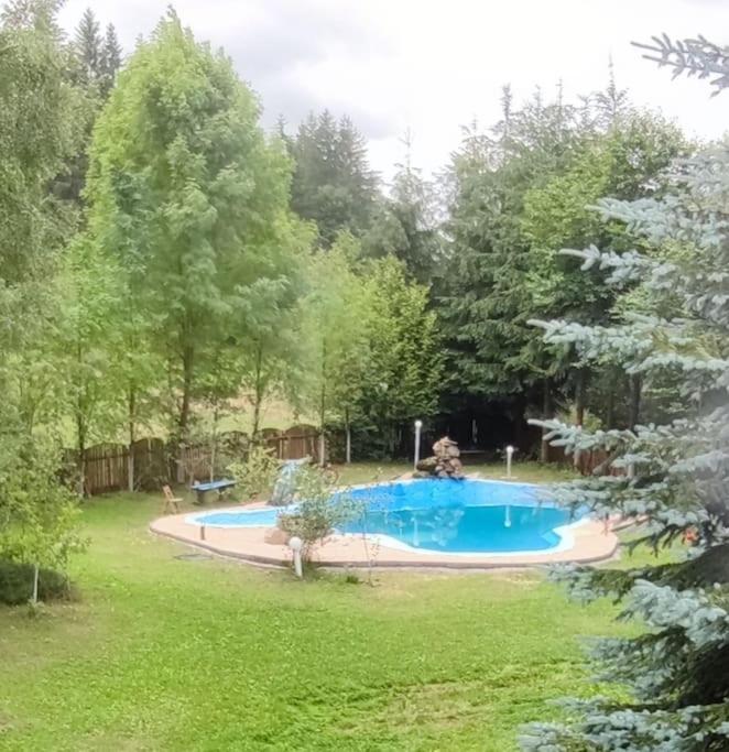 Cabanita Βίλα Întorsura Buzăului Εξωτερικό φωτογραφία