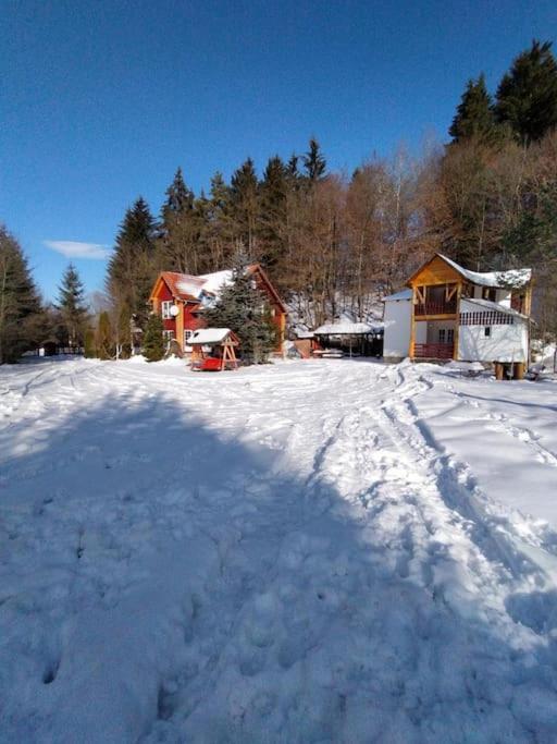 Cabanita Βίλα Întorsura Buzăului Εξωτερικό φωτογραφία