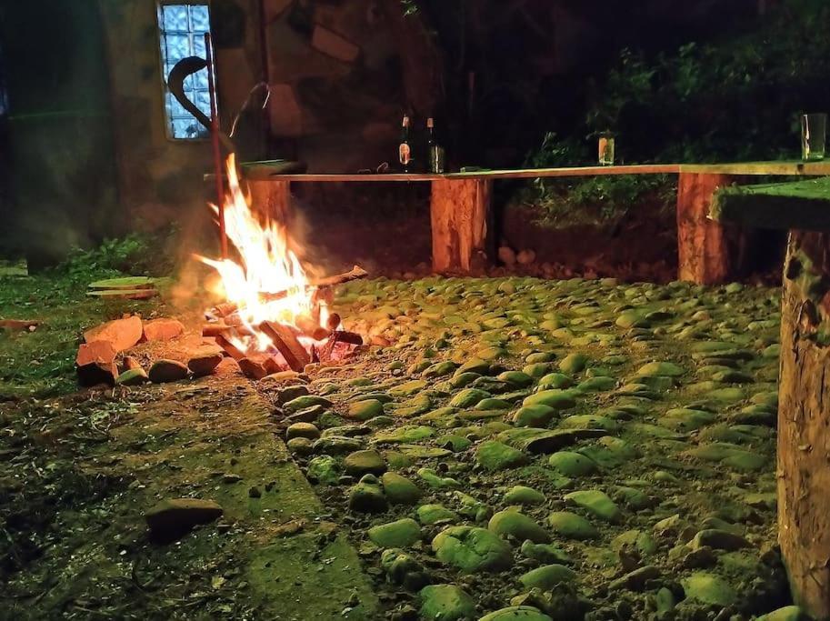 Cabanita Βίλα Întorsura Buzăului Εξωτερικό φωτογραφία