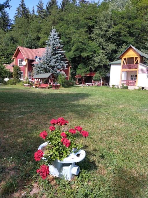Cabanita Βίλα Întorsura Buzăului Εξωτερικό φωτογραφία