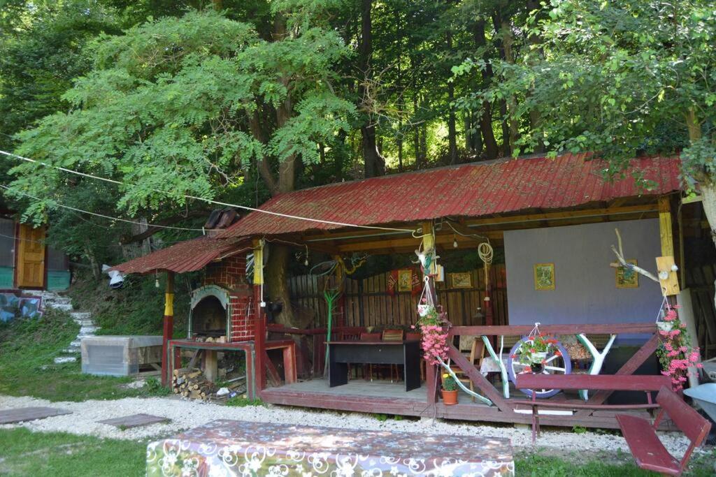 Cabanita Βίλα Întorsura Buzăului Εξωτερικό φωτογραφία