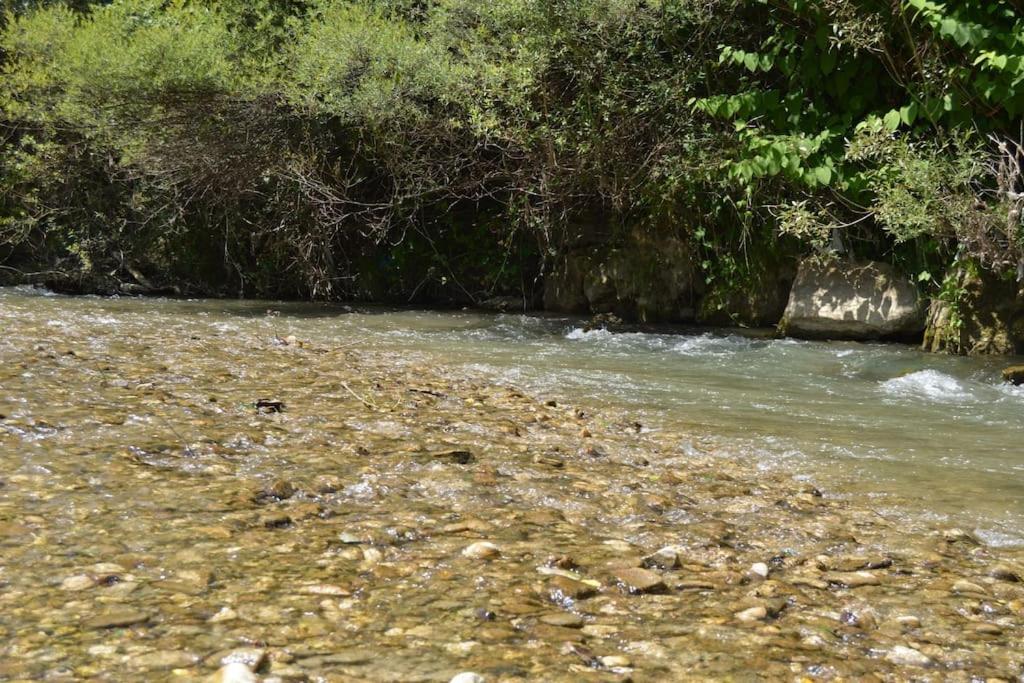 Cabanita Βίλα Întorsura Buzăului Εξωτερικό φωτογραφία